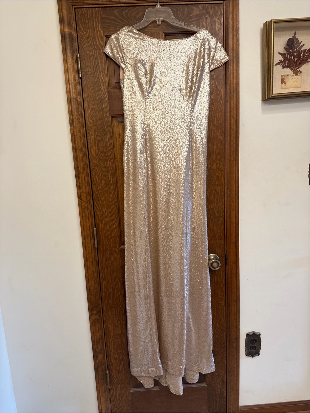 Sequin Cap-Sleeve Evening Gown in Champagne